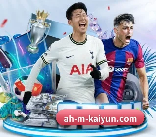 开云体育 APP - kaiyun sports